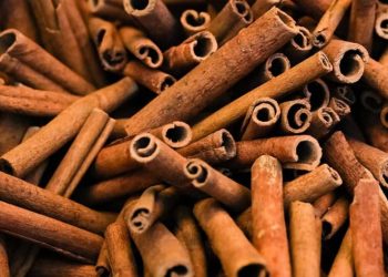 Edi Purwanto Dorong Pinang dan Kayu Manis jadi Komoditas Strategis