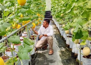 Alif Farm Hadirkan Agrowisata Eksklusif Melon di Purwakarta
