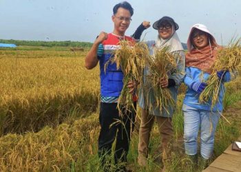 PGN Perkuat Komitmen Keberlanjutan Lewat UMKM Petani dan Lingkungan