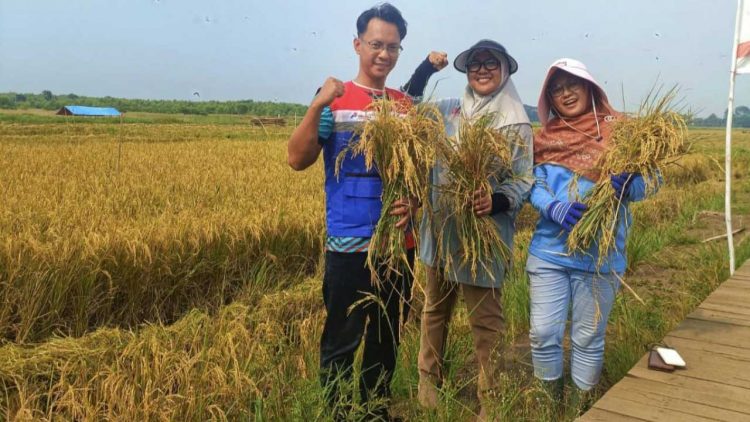 PGN Perkuat Komitmen Keberlanjutan Lewat UMKM Petani dan Lingkungan