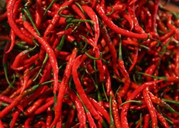 Riau Gelar Operasi Pasar Tekan Inflasi Akibat Kenaikan Harga Cabai