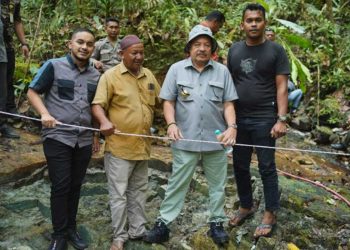 Penemuan Ribuan Ton Batu Giok di Aceh Tergolong Langka
