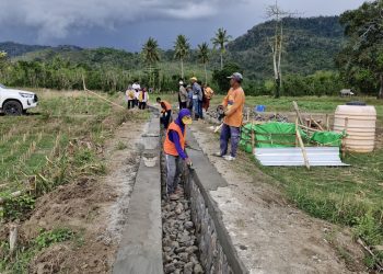 Dukung Ketahanan Pangan, Kementerian PU Perkuat Infrastruktur Irigasi di 8.000 Lokasi Melalui P3TGAI