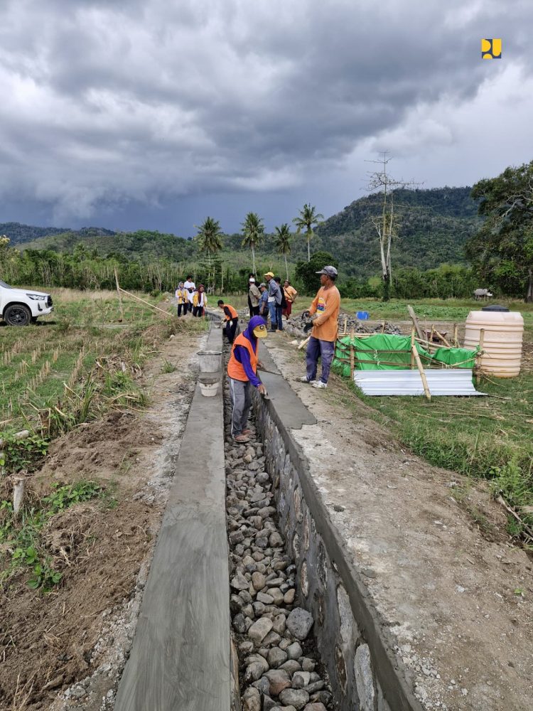 Dukung Ketahanan Pangan, Kementerian PU Perkuat Infrastruktur Irigasi di 8.000 Lokasi Melalui P3TGAI