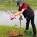 Kopi Liberika Dikembangkan Jadi Komoditas Unggulan IKN