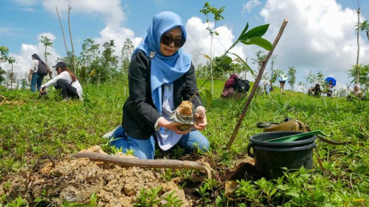 IKN dan PATPI Tanam Kopi Liberika Wujudkan Forest City Berkelanjutan
