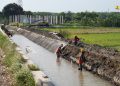 Kementerian PU Rehabilitasi Jaringan Irigasi Delta Brantas