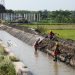 Kementerian PU Rehabilitasi Jaringan Irigasi Delta Brantas