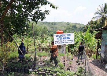 PTBA Galakkan Budaya Sedekah untuk Alam di Tanjung Karangan