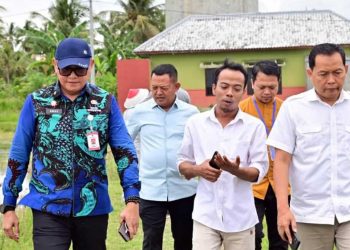 Padi Biosalin Ubah Lahan Tambak Jadi Sawah Produktif di Lampung Selatan