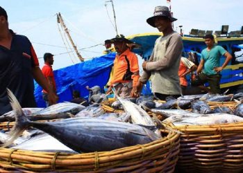 Tanjungpinang Gelar Bimtek Sertifikasi Kecakapan Nelayan Tingkatkan Keselamatan dan Profesionalitas
