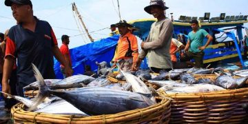 Tanjungpinang Gelar Bimtek Sertifikasi Kecakapan Nelayan Tingkatkan Keselamatan dan Profesionalitas