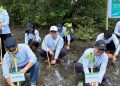 Menjaga Pantai, Menumbuhkan Harapan: ASDP Tanam 3.000 Mangrove di Mawali