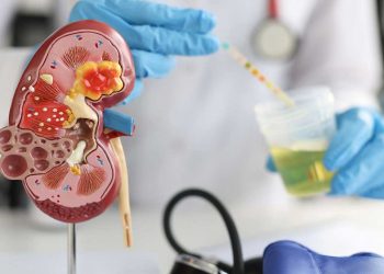 BPJS Kesehatan dan USU Perkuat Deteksi Dini Penyakit Ginjal Kronis di Sumut