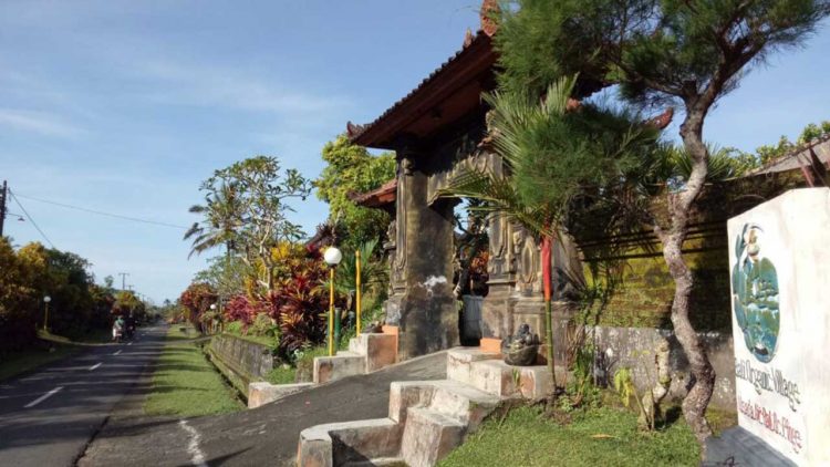 PNB Angkat Potensi Desa Wisata Pinge Lewat Program ICS Internasional
