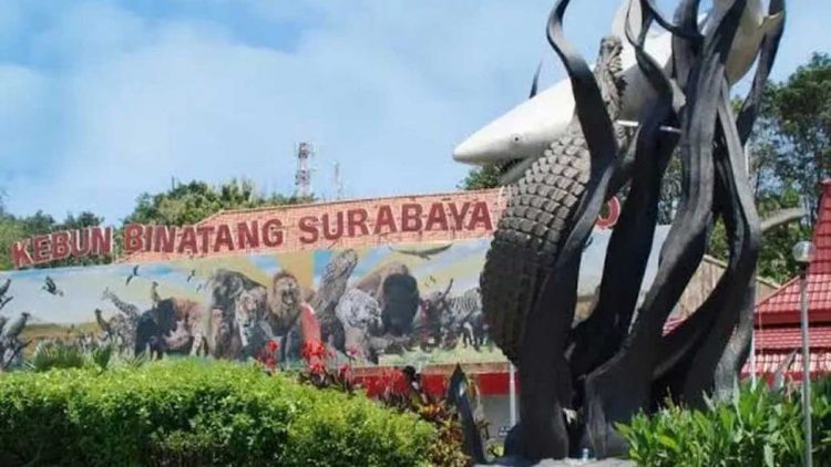 KBS Gelar Ceria Bersama Menuju KBS Mendunia