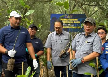 Seribu Mangrove Ditanam Perkuat Pesisir Balikpapan