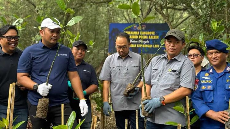Seribu Mangrove Ditanam Perkuat Pesisir Balikpapan