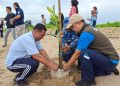 Bandara SAMS Sepinggan Tanam Ribuan Mangrove di Pantai Seraya