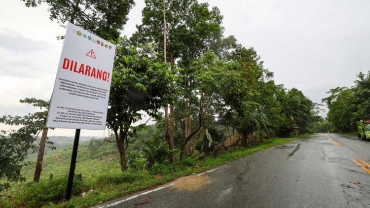 Otorita IKN Perketat Pengawasan Aktivitas Ilegal di Tahura Bukit Soeharto