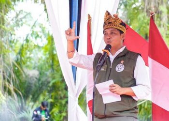 Menhut Siapkan Rehabilitasi Tesso Nilo