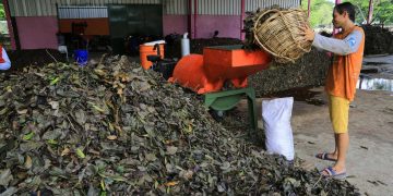 Surabaya Tekan Biaya Sampah Lewat Rumah Kompos Tantangan Timbulan Masih Tinggi
