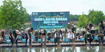 Peringati Hari Lahan Basah Sedunia, Menteri Kehutanan Komitmen Rehabilitasi Mangrove di Kalimantan Utara