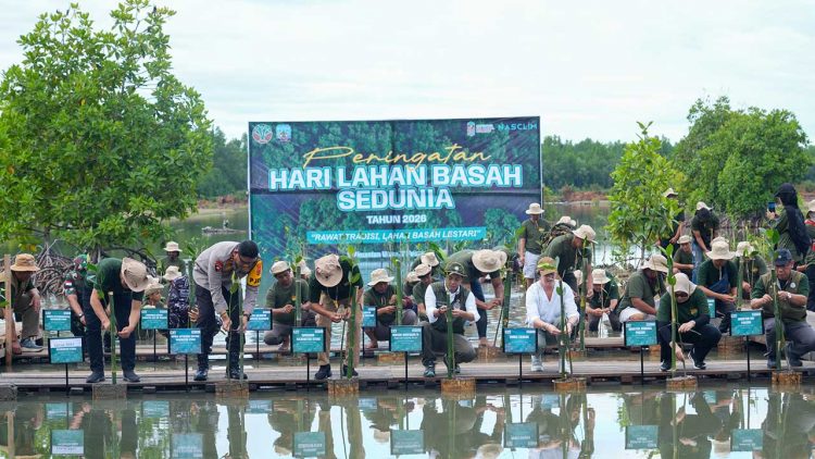 Peringati Hari Lahan Basah Sedunia, Menteri Kehutanan Komitmen Rehabilitasi Mangrove di Kalimantan Utara