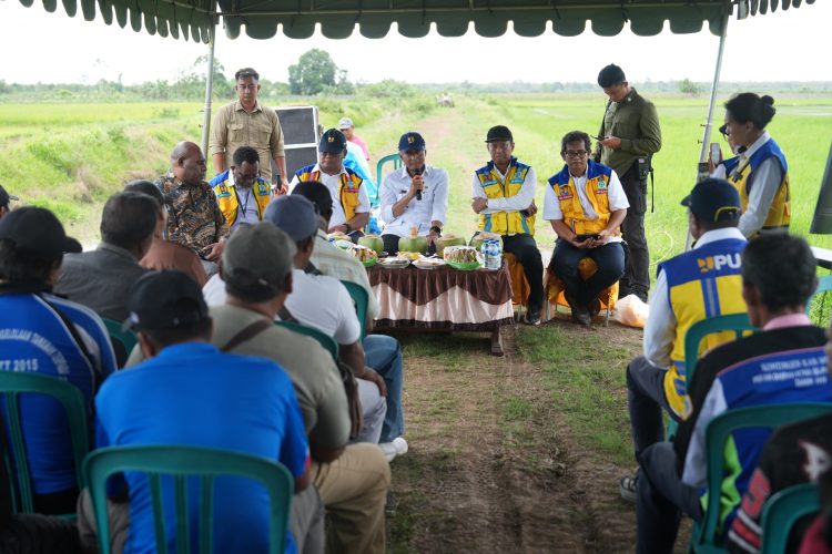 Irigasi Rawa Semangga, Dukung Swasembada Pangan Papua Selatan