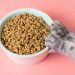 Banyuasin Catat Ekspor Perdana Pet Food ke Filipina