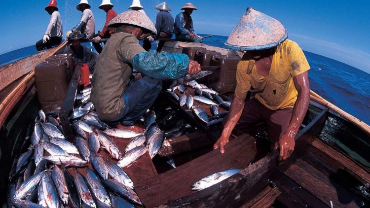 DKP Kaltim Percepat Hilirisasi Produk Perikanan Berkelanjutan