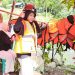 Sungai Trokon Jadi Primadona Wisata Alam Curup