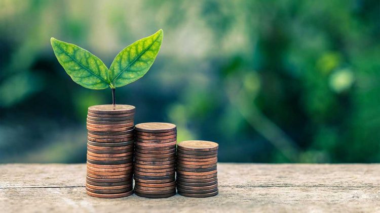 Ketika Green Financing Indonesia Jadi Rebutan Luar, Lokal Masih Ogah Bergerak