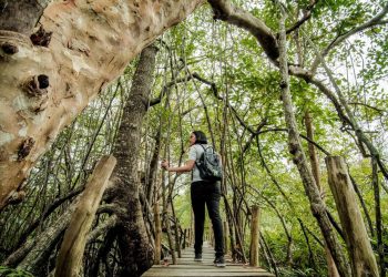 Wamenpar Tegaskan Pariwisata Berkelanjutan Jadi Fondasi Daya Saing Global Indonesia