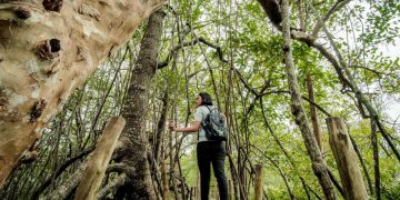 Wamenpar Tegaskan Pariwisata Berkelanjutan Jadi Fondasi Daya Saing Global Indonesia