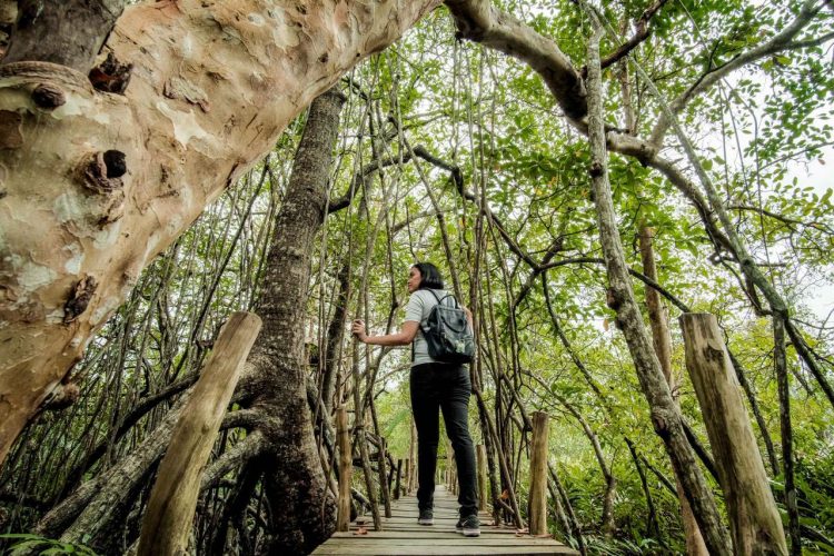 Wamenpar Tegaskan Pariwisata Berkelanjutan Jadi Fondasi Daya Saing Global Indonesia