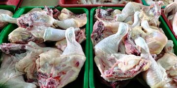 Harga Daging Ayam di Tapanuli Utara dan Toba Stabil Jelang Ramadan 2026