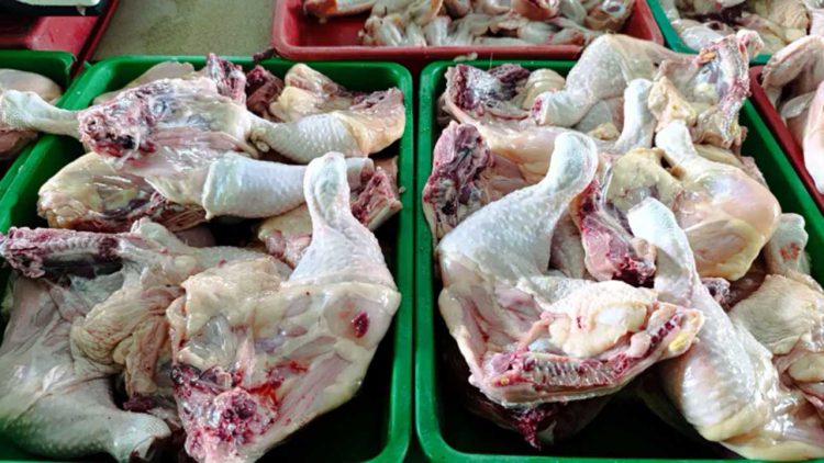 Harga Daging Ayam di Tapanuli Utara dan Toba Stabil Jelang Ramadan 2026