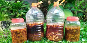 Lahat Panen Eco Enzyme Bhayangkari Dorong Gerakan Peduli Lingkungan