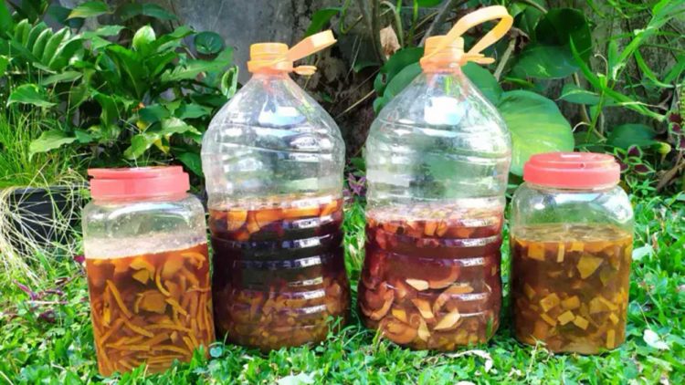 Lahat Panen Eco Enzyme Bhayangkari Dorong Gerakan Peduli Lingkungan
