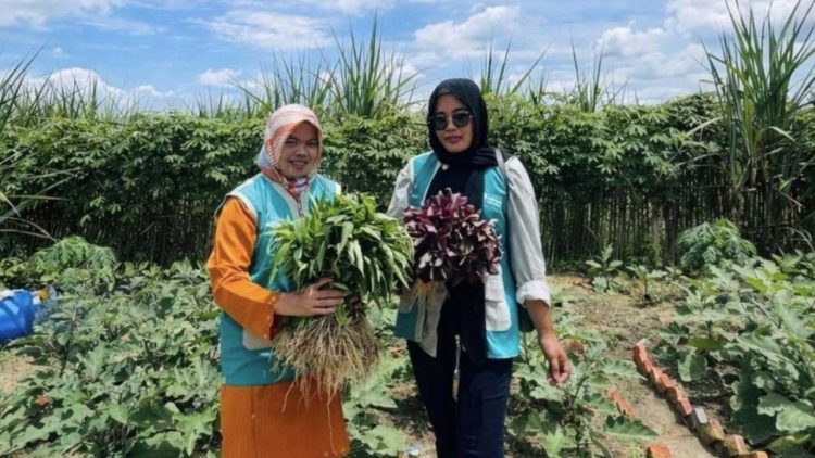 Dari Lahan Kosong Tumbuh Kemandirian di Bumi Hijau
