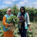 Dari Lahan Kosong Tumbuh Kemandirian di Bumi Hijau