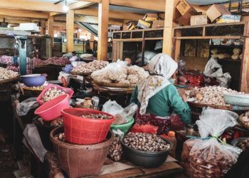 Ekonomi Global Berubah Indonesia Diminta Adaptif