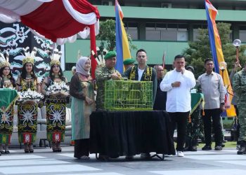 IKN Buka Peluang Besar Bagi Generasi Kreatif Kalimantan