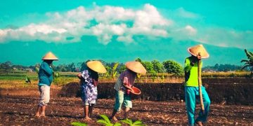 Program Desaku Maju Dorong Kemandirian Petani Lampung