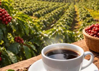 Pelatihan Kopi Wanagiri Dorong Daya Saing Petani
