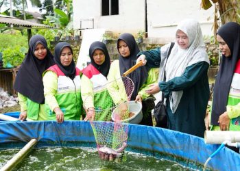 Kelompok Binaan Pertamina Panen Perdana Ikan Bioflok