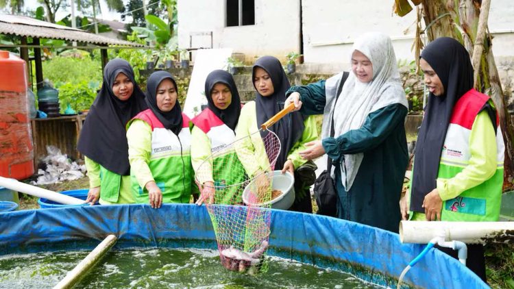 Kelompok Binaan Pertamina Panen Perdana Ikan Bioflok