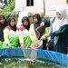 Kelompok Binaan Pertamina Panen Perdana Ikan Bioflok