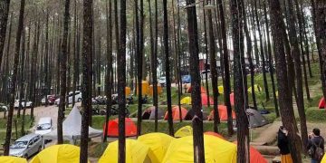 Bupati Mojokerto Apresiasi Wisata Alam Alas Veenuz Trawas